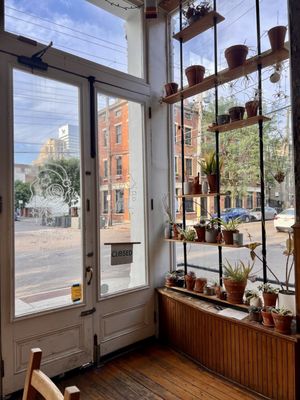 Brown Bear Bakery by null