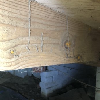 Pest Rx - Termite mud tubes found in an infested crawl space. Keep your home up to date on termite treatments to avoid this situation. - Pest Control Near Me - Easley, South Carolina Pest Rx - Termite mud tubes found in an infested crawl space. Keep your home up to date on termite treatments to avoid this situation. - Pest Control Near Me - Easley, South Carolina