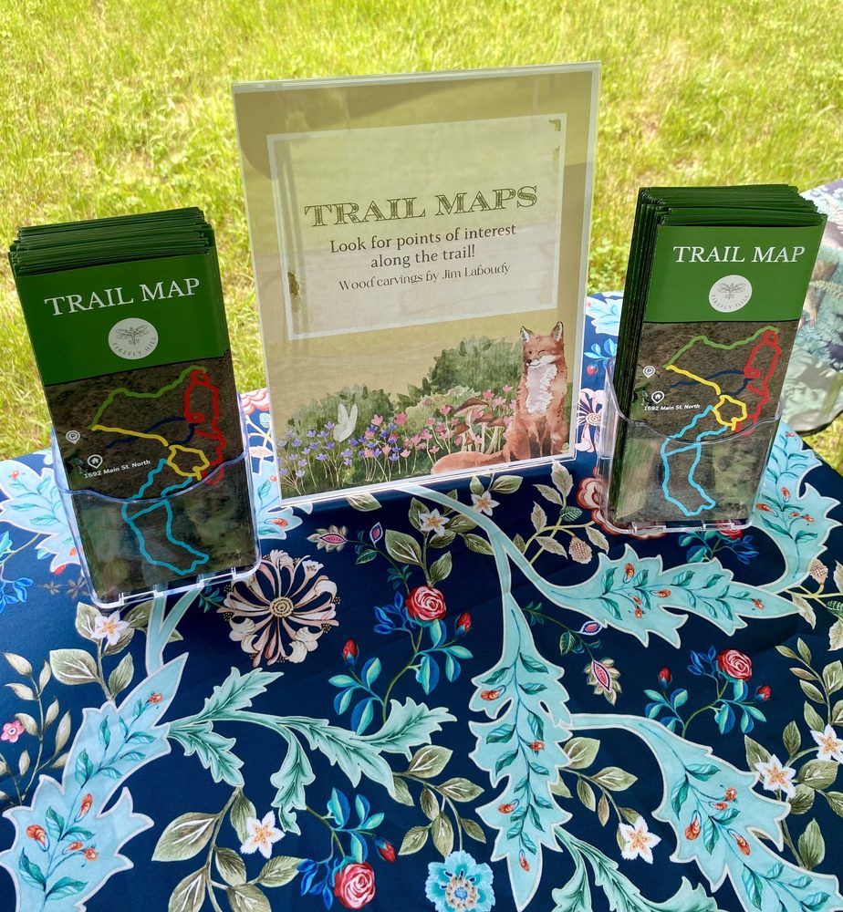 Firefly Hill Foundation - social services organization in Woodbury, CT