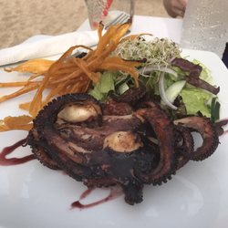 The Barracuda - Barbecue Octopus- Yum!
