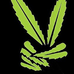 Rowe's CBD/THC Dispensary - Rowe's CBD/THC Dispensary Logo