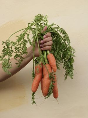 BELIL SABORES DE CHIAPAS by null