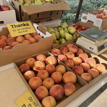 Debbie’s Palisade Peaches - Farmers Market Near Me - Loveland, Colorado