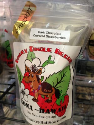 The Original Donkey Ball Store by null