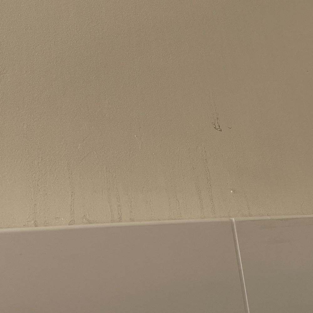 Niche & Clean - shower wall after they left - Home Cleaning Near Me - San Diego, California Niche & Clean - shower wall after they left - Home Cleaning Near Me - San Diego, California