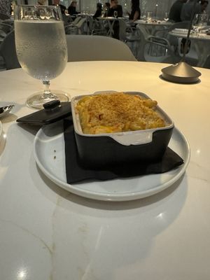 MF Lobster & Ceviche by null