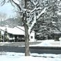 Photo of Town of Woodstock