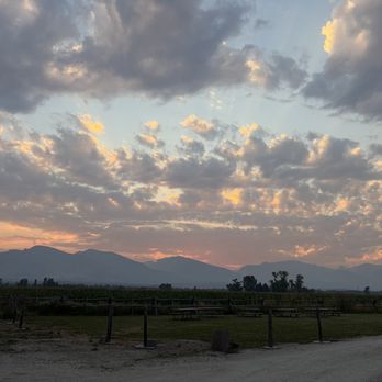 Fin's Tap House - American Near Me - Corvallis, Montana