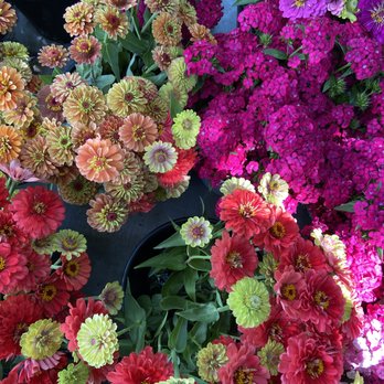 Petals - Florists Near Me Petals - Florists Near Me