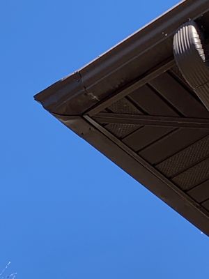 Action Professional Window & Gutter Cleaning Service