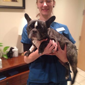 SAGE Veterinary Centers - Campbell - Ninja and Michelle at Sage Campbell, 5/11/14 - Veterinarians Near Me - Campbell, California SAGE Veterinary Centers - Campbell - Ninja and Michelle at Sage Campbell, 5/11/14 - Veterinarians Near Me - Campbell, California