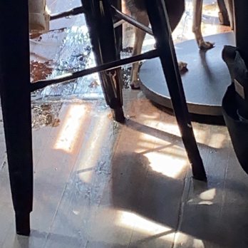 Los Gatitos - a dog standing under a table - Mexican Near Me - Block Island, Rhode Island Los Gatitos - a dog standing under a table - Mexican Near Me - Block Island, Rhode Island