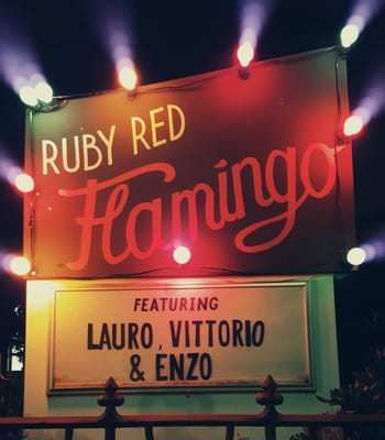 Ruby Red Flamingo by null