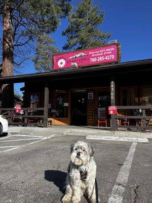 Amelia’s Donuts Bakery Cafe by null
