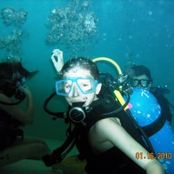 Aquatic Adventures of MI