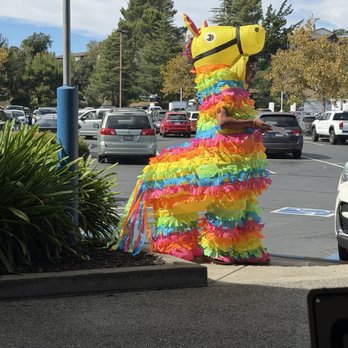 Ensenada - Piñata - Tacos Near Me - Benicia, California Ensenada - Piñata - Tacos Near Me - Benicia, California