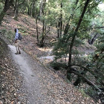 Martin Canyon Creek Trail - Hiking Near Me - Dublin, California