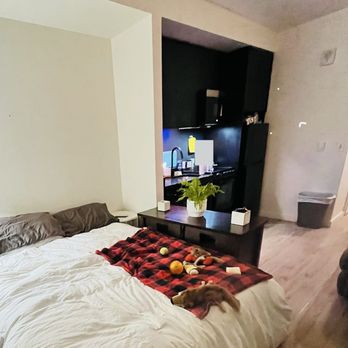 Nomad Apartments - The sleeping area and kitchen of my studio - Apartments Near Me - Portland, Oregon Nomad Apartments - The sleeping area and kitchen of my studio - Apartments Near Me - Portland, Oregon
