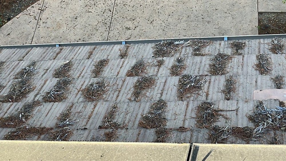 Slide of Hire Mikey's