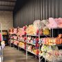 Cova Flowers Wholesale