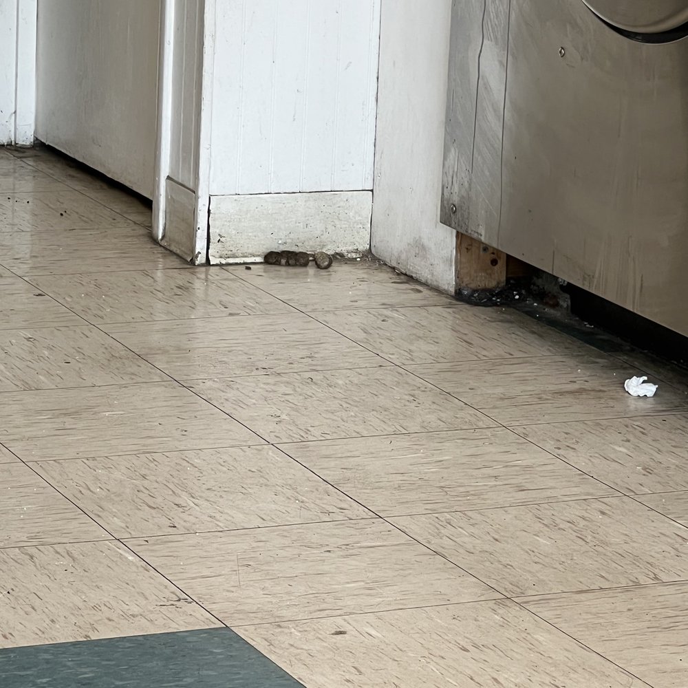 WashCo Laundry - Dirty floors and dog poop - Laundromat Near Me - Fairview, Tennessee WashCo Laundry - Dirty floors and dog poop - Laundromat Near Me - Fairview, Tennessee