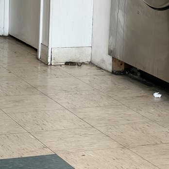 WashCo Laundry - Dirty floors and dog poop - Laundromat Near Me - Fairview, Tennessee WashCo Laundry - Dirty floors and dog poop - Laundromat Near Me - Fairview, Tennessee