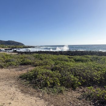 Sandy Beach Park - Sandy Beach - Parks Near Me - Honolulu, Hawaii Sandy Beach Park - Sandy Beach - Parks Near Me - Honolulu, Hawaii