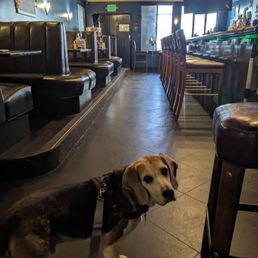 Didn't realize they'd closed at 2:30pm when I walked in, but they still accommodated me and Byron! Didn't realize they'd closed at 2:30pm when I walked in, but they still accommodated me and Byron!
