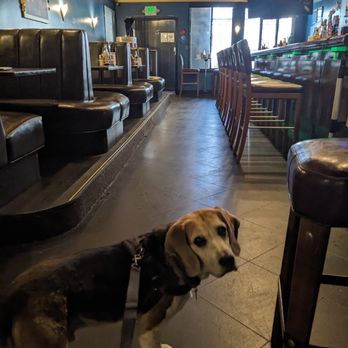 Question Mark Tavern - Didn't realize they'd closed at 2:30pm when I walked in, but they still accommodated me and Byron! - Bars Near Me - San Francisco, California Question Mark Tavern - Didn't realize they'd closed at 2:30pm when I walked in, but they still accommodated me and Byron! - Bars Near Me - San Francisco, California