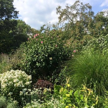 Central Park Conservancy - Parks Near Me - New York, New York