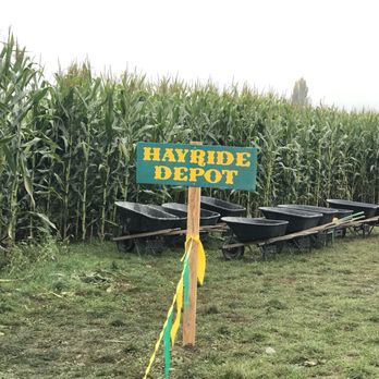 Bob's Corn & Pumpkin Farm - Pumpkin Patches Near Me - Snohomish, Washington Bob's Corn & Pumpkin Farm - Pumpkin Patches Near Me - Snohomish, Washington