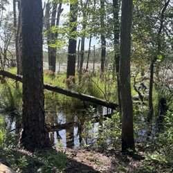 Black Run Preserve
