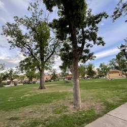 Acacia Park
