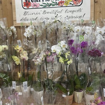 Trader Joe's - Grocery Near Me - Ventura, California Trader Joe's - Grocery Near Me - Ventura, California