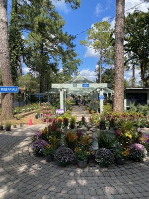 Tallahassee Nurseries by null
