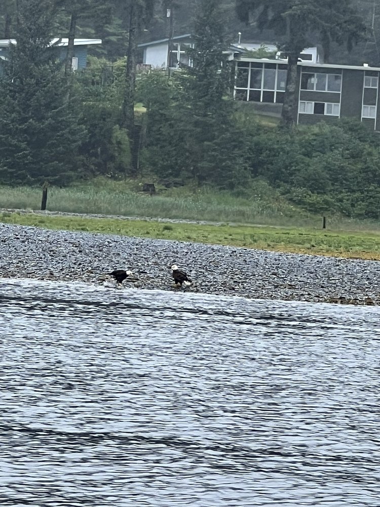 Alaska Galore Tours