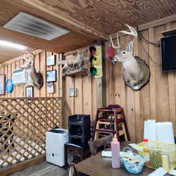 M & M Mustang Oil Restaurant - Taxidermy! it's Alabama ya know.