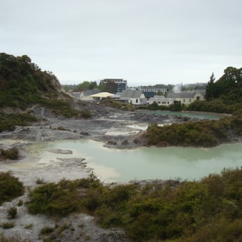 Te Puia - Museums Near Me - Rotorua, BOP