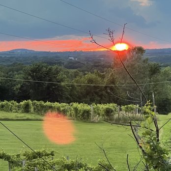 Galena Cellars Vineyard & Winery - Wineries Near Me - Galena, Illinois