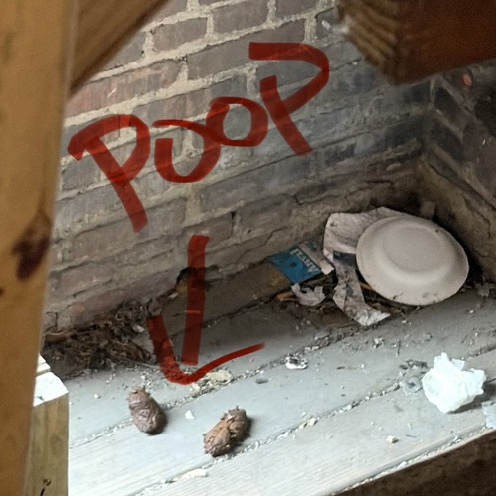 B2B Realty - Feces from drug addicts hiding, sleeping, and living in the stairwells - Property Management Near Me - Brooklyn, Ohio B2B Realty - Feces from drug addicts hiding, sleeping, and living in the stairwells - Property Management Near Me - Brooklyn, Ohio