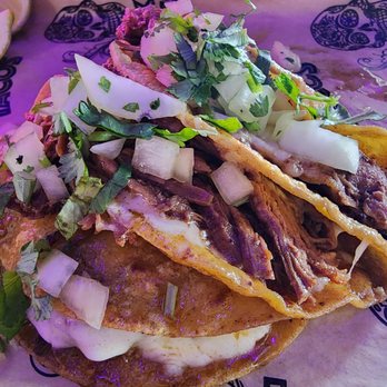 Talkin' Tacos Temple Terrace - Mexican Near Me - Tampa, Florida Talkin' Tacos Temple Terrace - Mexican Near Me - Tampa, Florida