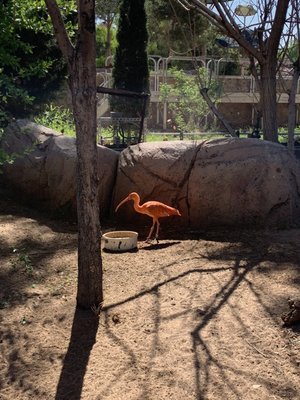 El Paso Zoo and Botanical Gardens by null