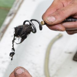 Five star drain cleaning