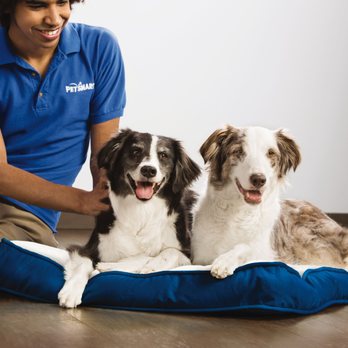PetSmart - Pet Groomers Near Me - Houston, Texas