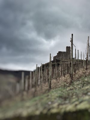 Burg Landshut by null