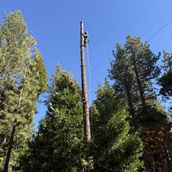 Tahoe Park Snow Job & Tree Services