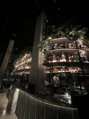 V Modern Italian by null