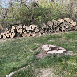 Horvath Tree Care
