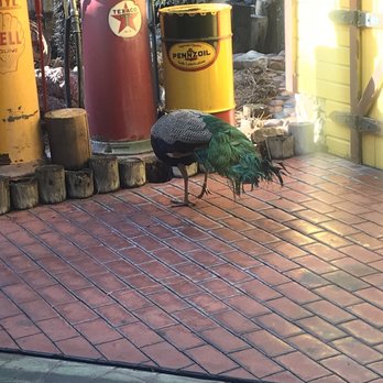 Castle Park - Amusement Parks Near Me - Riverside, California