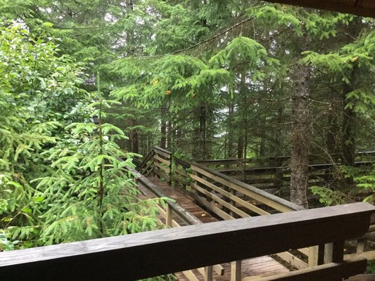 Glacier Bay Lodge & Tours by null